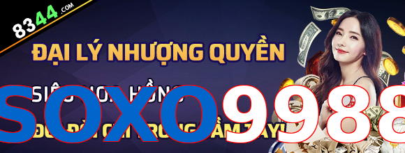 SOXO9988